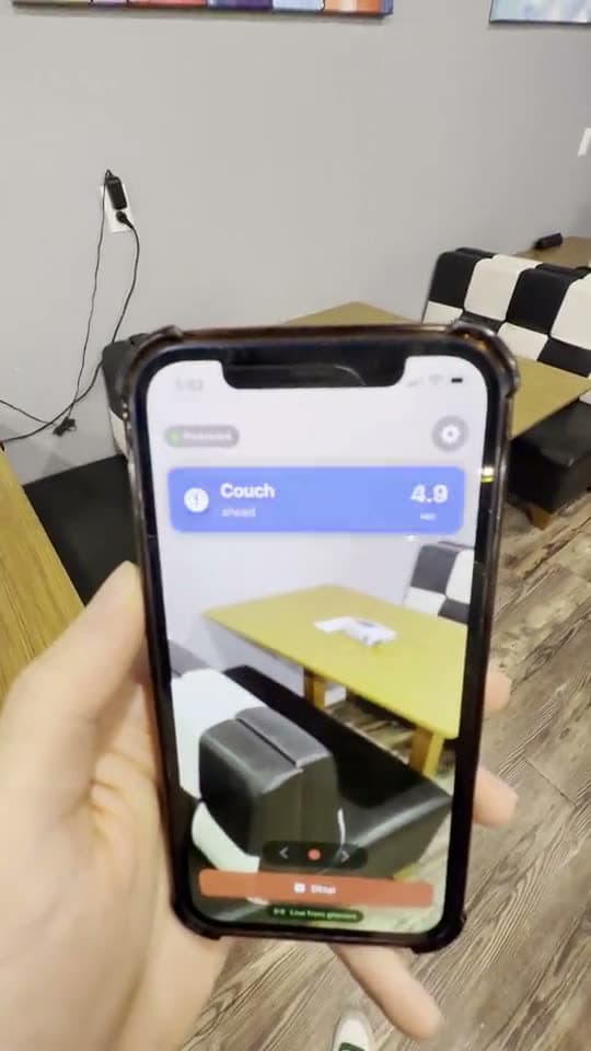 Vixa on a phone warning about an obstacle